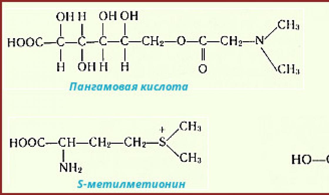 Минеральные вещества в продуктах питания Полезные вещества имеются в составе