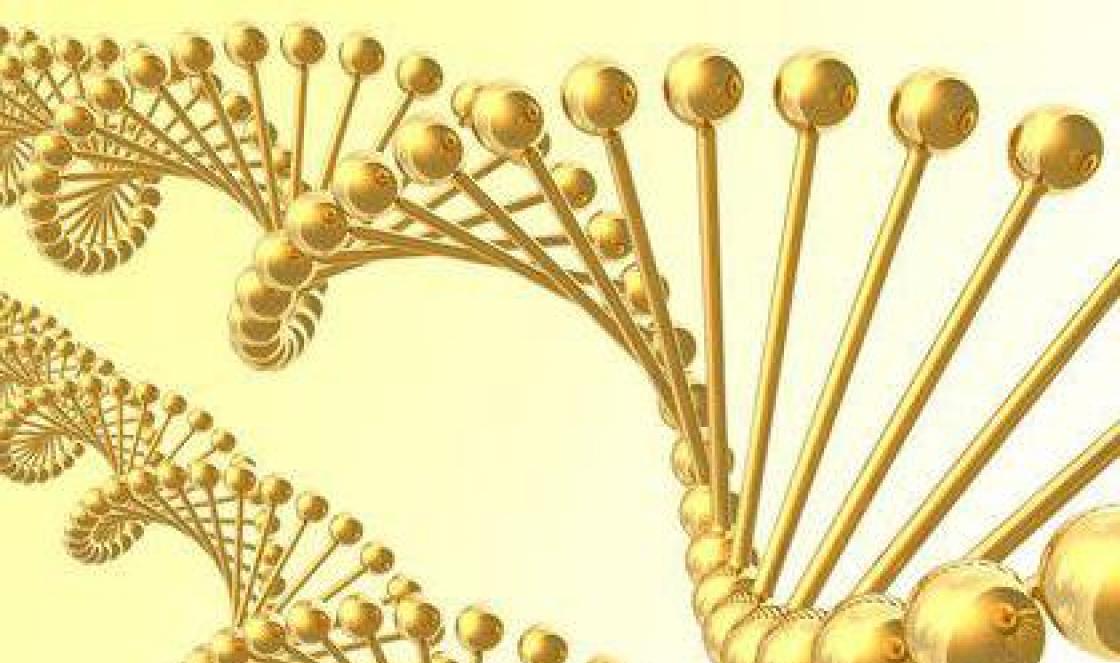 Types of nucleic acids - biopolymers What is a DNA monomer