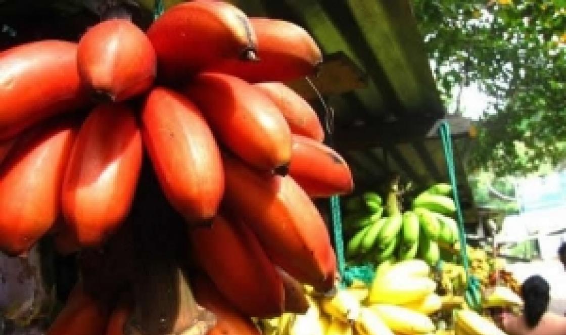 Красные бананы. Польза красных бананов. Способы приготовления экзотических плодов