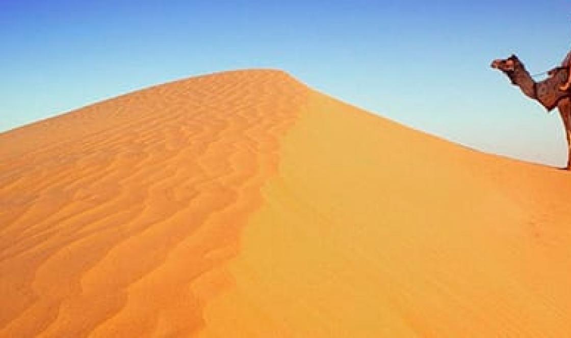 Desert: what does the dream symbolize?