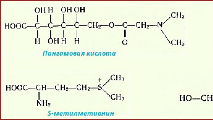 Минеральные вещества в продуктах питания Полезные вещества имеются в составе